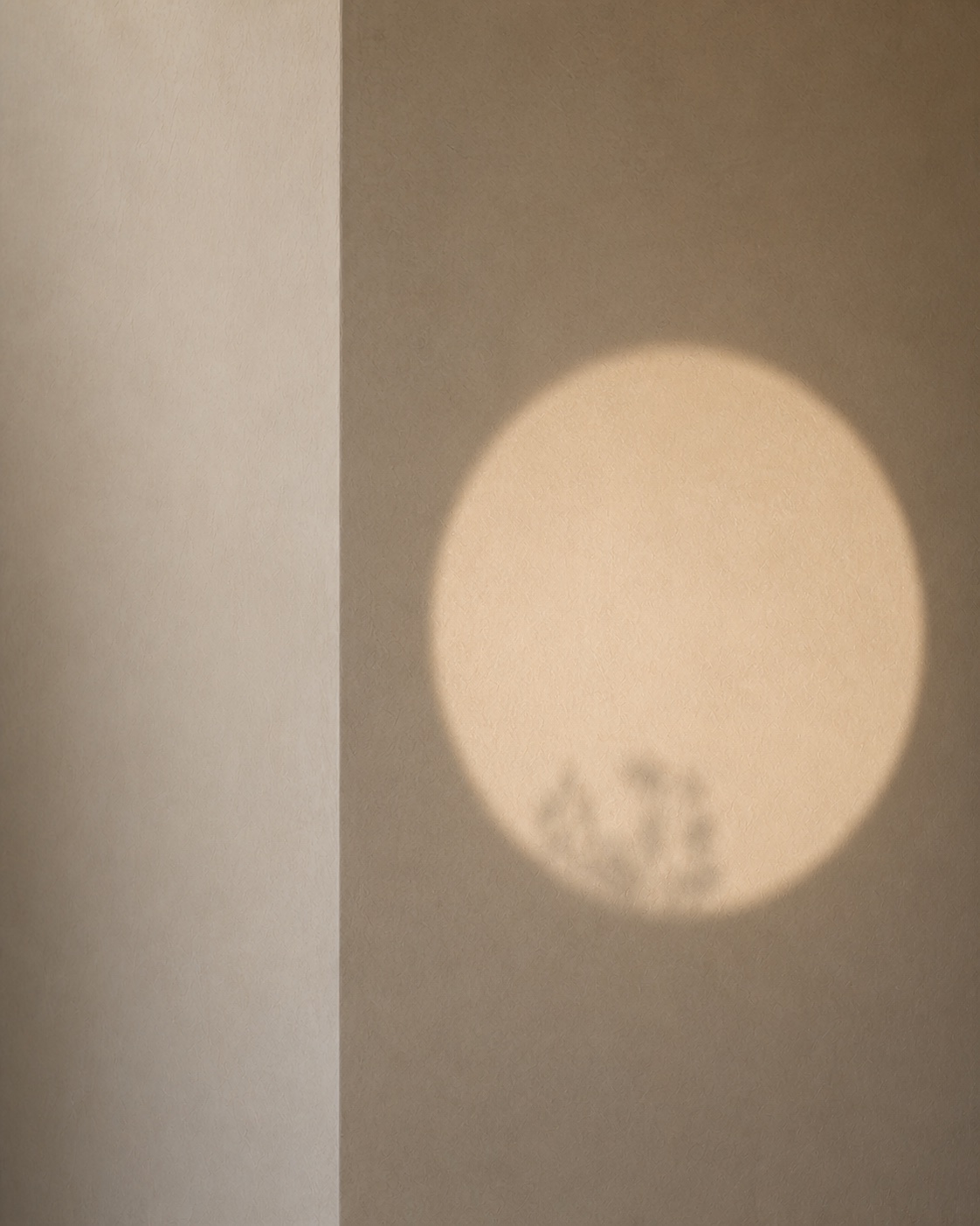 A perfectly circular projection of afternoon light on a textured plaster wall